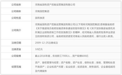 買房首先看開發(fā)商,鄭州有哪些開發(fā)商是國資主導?